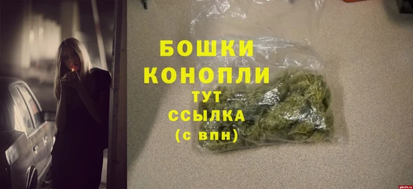прущие грибы Вязники