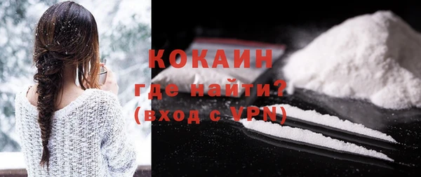 прущие грибы Вязники