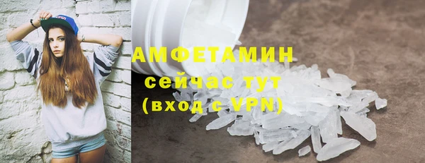 прущие грибы Вязники