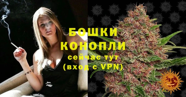 дживик Вязьма