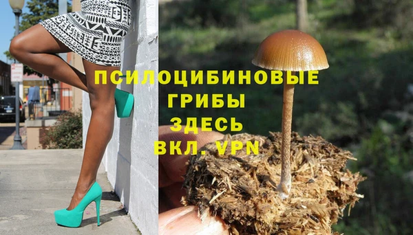 таблы Вяземский