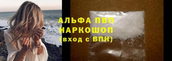 прущие грибы Вязники