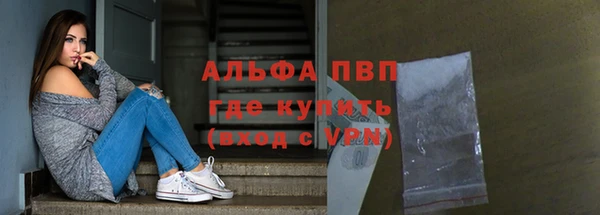 прущие грибы Вязники