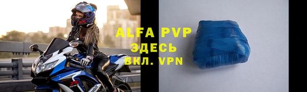 прущие грибы Вязники