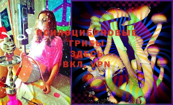 прущие грибы Вязники