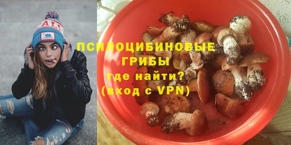 дживик Вязьма