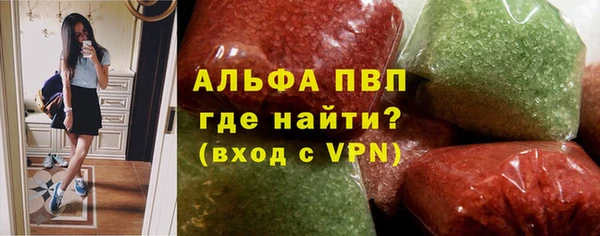 прущие грибы Вязники