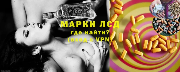 прущие грибы Вязники
