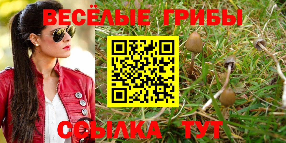 Лесной  Псилоцибиновые грибы прущие грибы  Вход с VPN  Галлюциногенные грибы MAGIC MUSHROOMS 