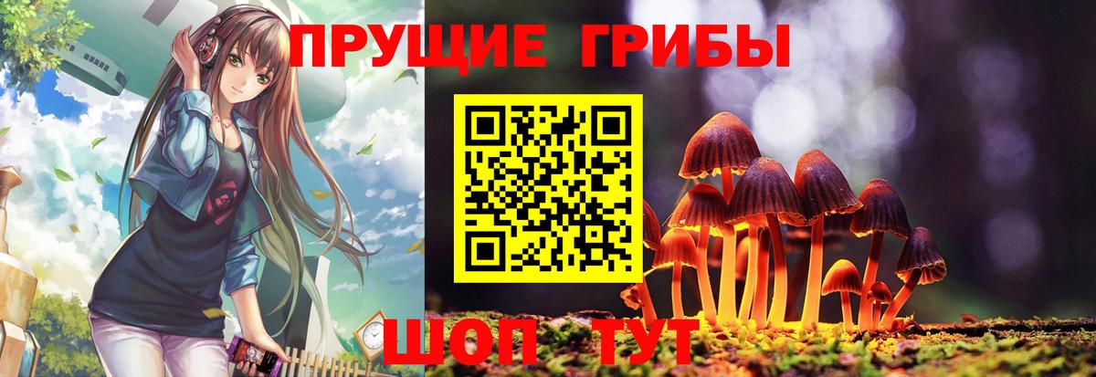 Галлюциногенные грибы Psilocybine cubensis Лесной